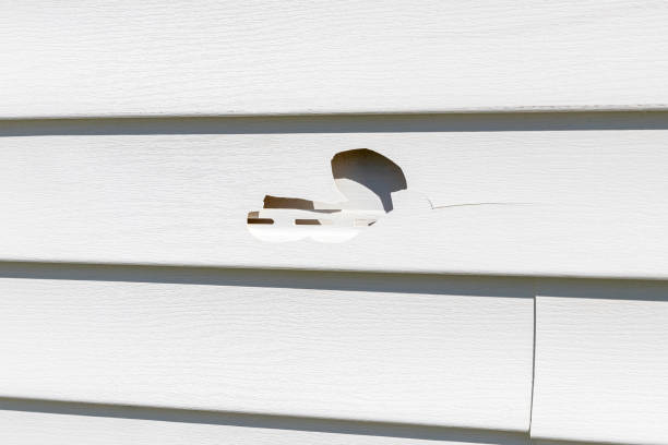 Affordable Siding Repair and Maintenance Services in Opelika, AL